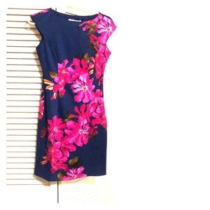 Wisp Navy/Fushia Dress - Size 2